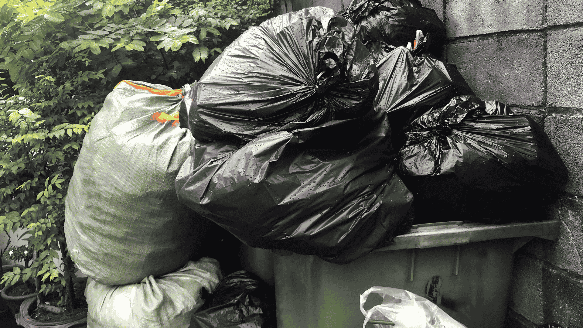 Professional junk removal services in San Diego, CA – trash, debris, and waste cleanup.