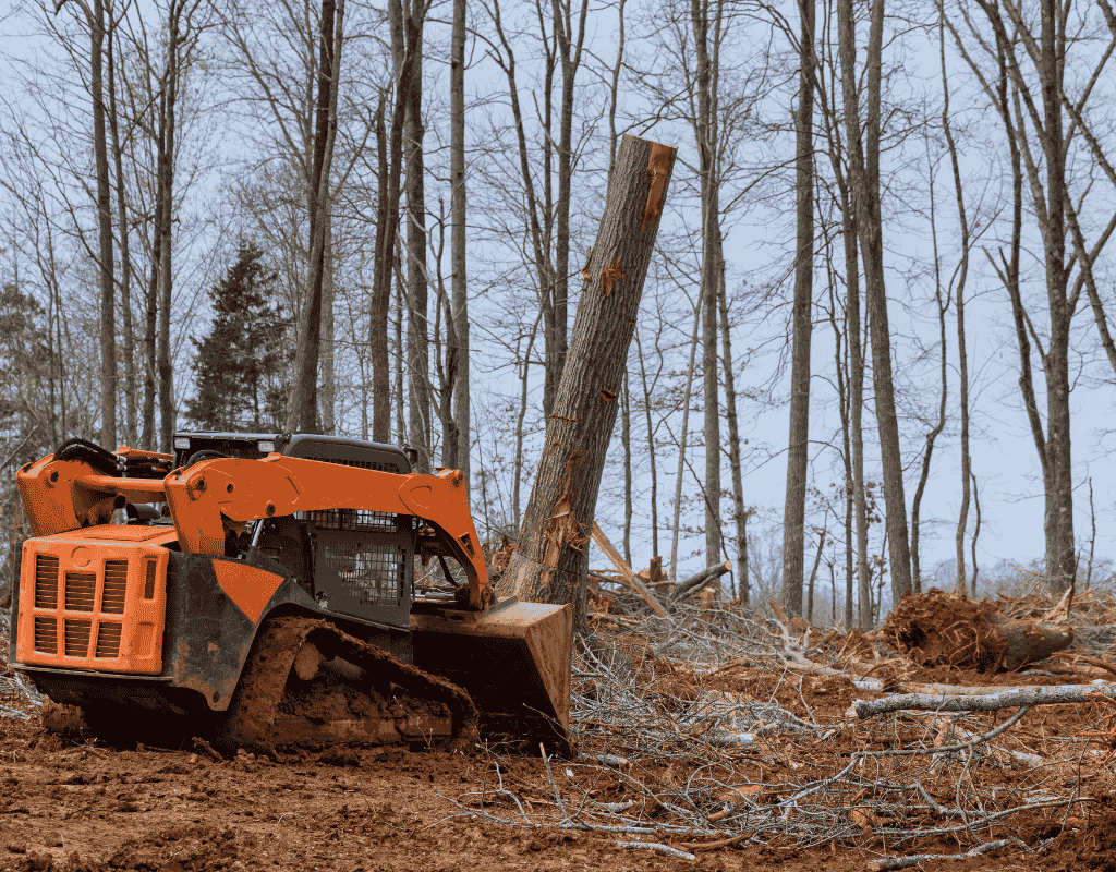 Get expert tree stump removal services in San Diego with San Diego Junk Removal. Hassle-free and affordable solutions.